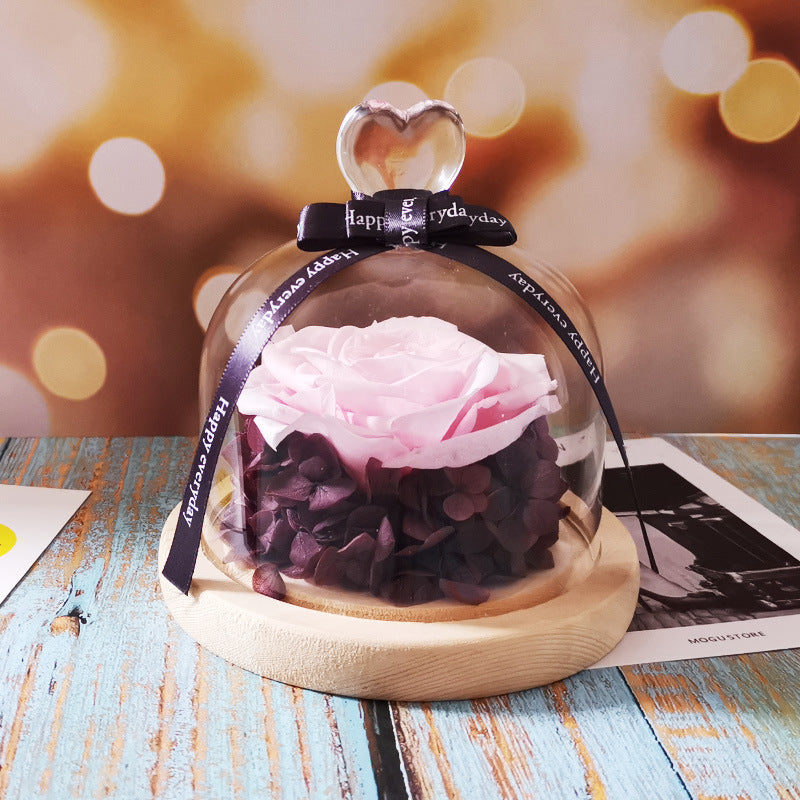 Rosova Bell – Ewige Rose unter der Glasglocke