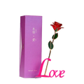 Aurum Rose – Vergoldete Rose als zeitloses Geschenk