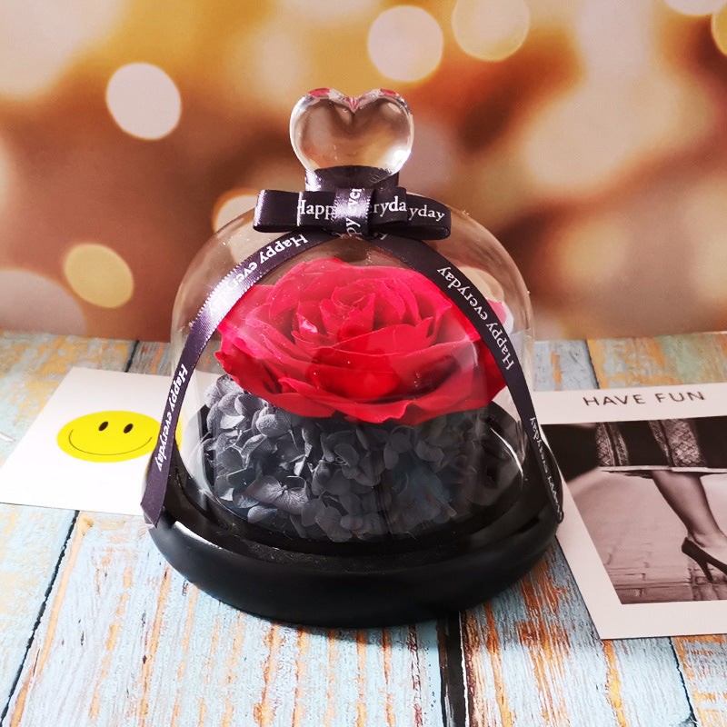 Rosova Bell – Ewige Rose unter der Glasglocke