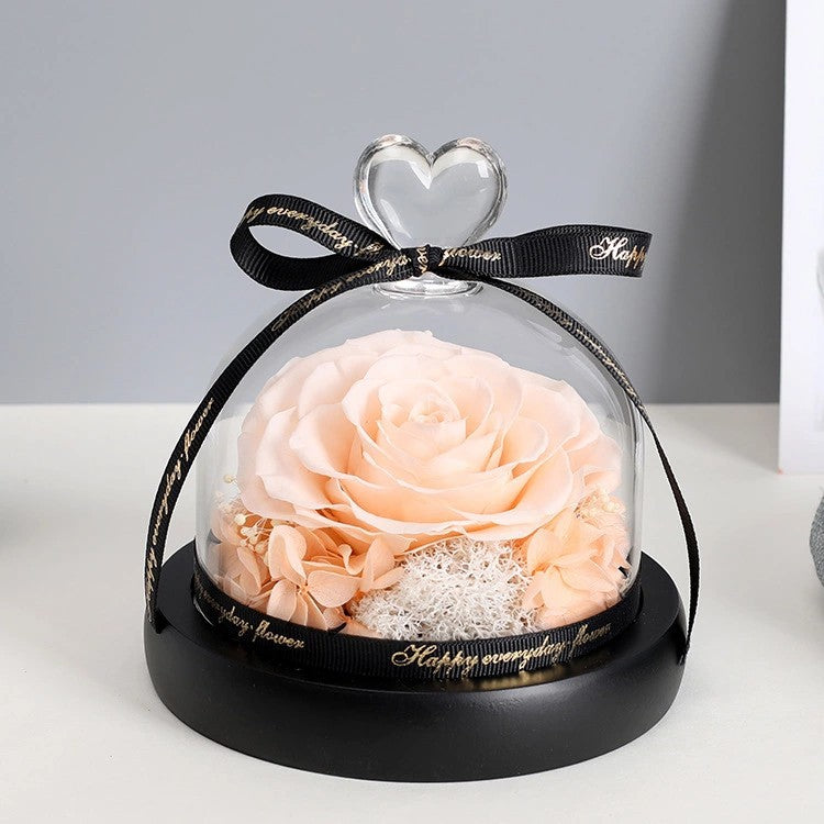 Rosova Bell – Ewige Rose unter der Glasglocke
